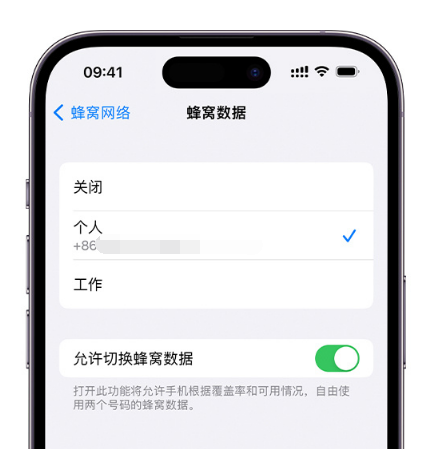 黔东南苹果维修服务分享如何在iPhone上使用双卡 